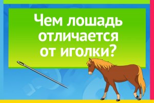 Какой ответ на загадку: Какой бывает лошадь, когда её покупают?