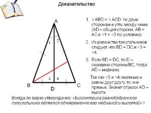 Каким свойством обладают углы равнобедренного треугольника?