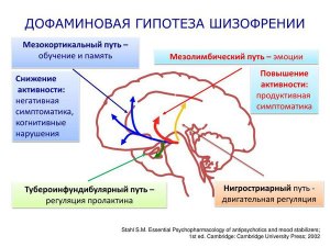 Правда ли, что "шизофрения" не более чем теория?