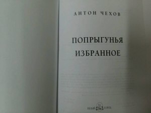 Чехов "Попрыгунья". Какие проблемы подняты в произведении?