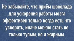 Это правда, что тупым в ВУЗе не место?