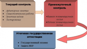 Как выбираются предметы для сдачи в сессии на первом курсе и кем?