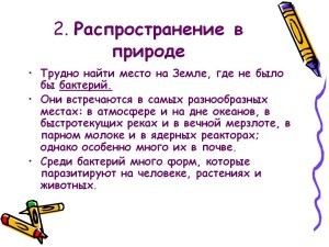 Чем можно объяснить широкое распространение бактерий на нашей планете?