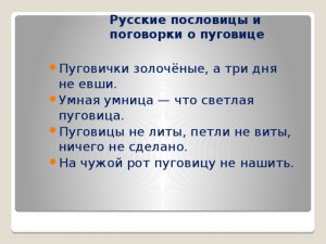 Как понять пословицу: умная умница, что светлая пуговица?