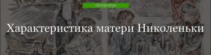 Какой мы видим мать Николеньки в главе «Maman»?