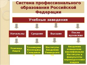 Колледж - это просто урезанная версия 10 и 11 класса и профессии?