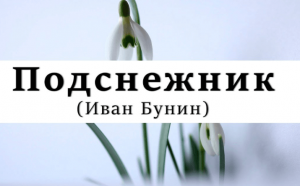 И. Бунин "Подснежник" : Готовый читательский дневник где найти?