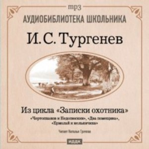 Тургенев "Два помещика". Читательский дневник как заполнить, где найти?