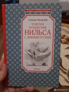 Лагерлёф "Путешествие Нильса" готовый читат. дневник по пунктам где найти?