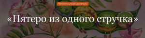 Андерсен "Пятеро из одного стручка": читательский дневник как заполнить?