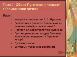 Как охарактеризовать встречи Пугачева и Гринева в произведении?