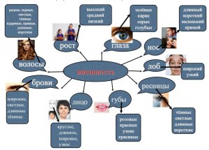 Трудное мозолистое лицо какое отчего бывает как описать простыми словами?