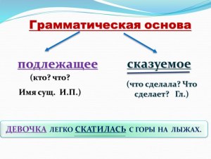 Пропоносинка - что это такое, для чего нужна и почему так называют?