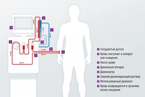 Вы согласны, что серьёзность – это проявление демонизма?