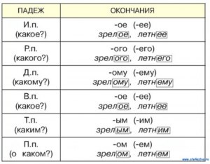 Какие прилагательные подходят к словам "палка", " бревно", "доска"?