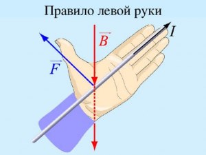 Для чего человеку две руки - левой подмываться, а правой здороваться?