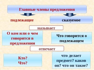 Что такое иллюстративные предложения в лингвистических словарях?