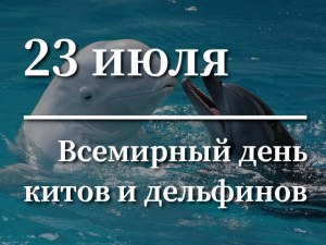 Лесков "Зверь", кто из героев преподнес барину первый урок милосердия? Как?