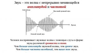 В каком диапазоне способны улавливать звуковые волны киты?