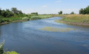 Сколько рек и какие, впадают в Азовское море?