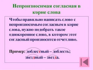 Существует ли грамотное русское слово «дилектор»? Что оно означает?