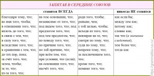 Он валютный чародей, любит женский пол(,) злодей. Нужна ли запятая, почему?