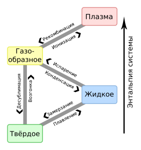 Что такое липограммы, гиперлипограммы, моновокализм и моноконсантизм?