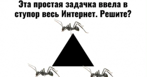 Каков шанс того, что я поступлю в автомобильный колледж с баллом 3,6?