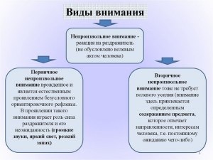 Чем бдительность отличается от внимания?