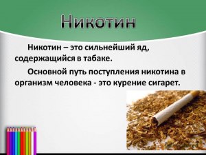 Никотин и негоциант это родственные слова? Почему да или нет?