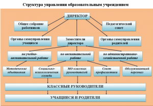 Какие образовательные организации посоветуете для обучения в сфере IT?