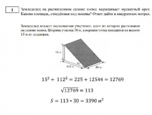 Первые 5 заданий огэ по математике какими будут на экзамене 2025?