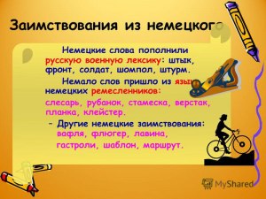 Из какого языка заимствовано слово "шезлонг"?