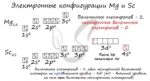 ЕГЭ Химия, Атомы каких элементов имеют семь валентных электронов?