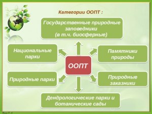 Какие категории ООПТ составляют заповедную систему РФ?