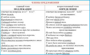 Какой член предложения "от него" в предложении "Она была без ума от него"?