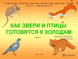 Какие предложения можно составить на тему: "Осень в лесу"?