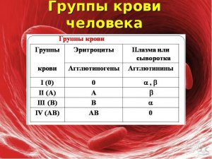 Какая группа крови является человеком долгожителем, а какая наоборот?