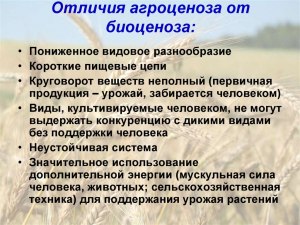 В чем отличие биоценоза от экосистемы?