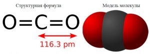 Диоксид углерода - что это такое? Где и откуда он в организме человека?