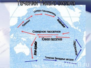 Какова основная причина движения морских вод?