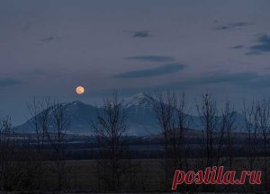 Сила духа и сила воли. В чём разница?