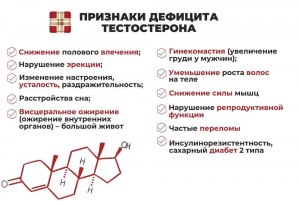 Насколько взаимосвязано у мужчины: седение волос и уровень тестостерона?