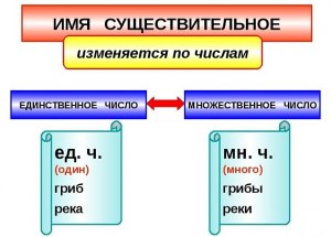 "Консервы"- есть ли у этого существительного единственное число?