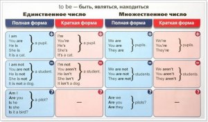 Почему в данном примере присутствует глагол are(см)?