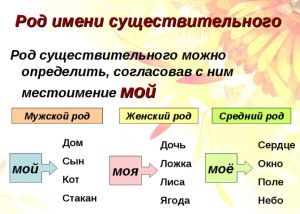 Какого рода слово экспо, как его употреблять в предложениях?