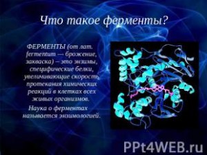 Слова "фермент" и "энзим" в переводе - "закваска". Почему такое название?