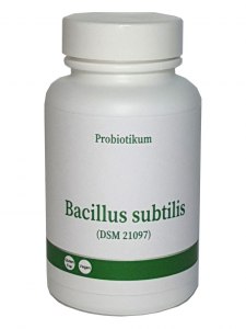 Ферменты Bacillus subtilis используют для стирального порошка, ещё где?