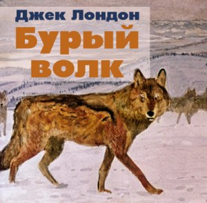 Дж. Лондона «Бурый Волк» В каком штате происходят события рассказа?