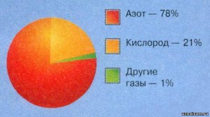 Почему процент смеси газов в воздухе, всегда одинаков?